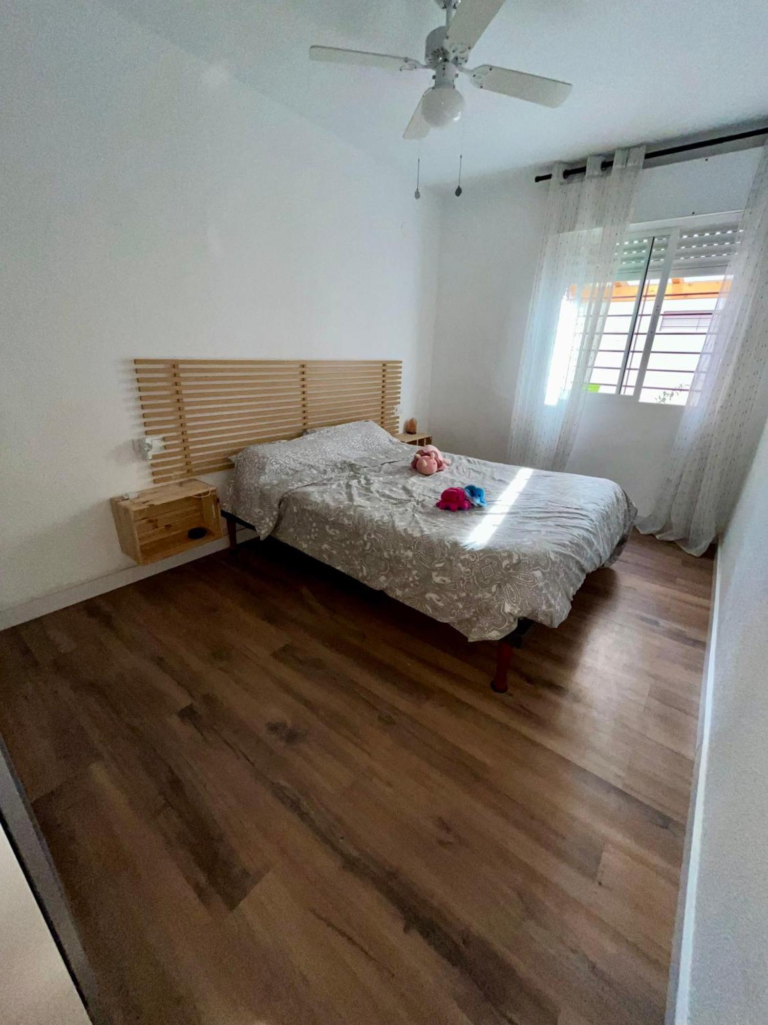 Vive Malaga 3